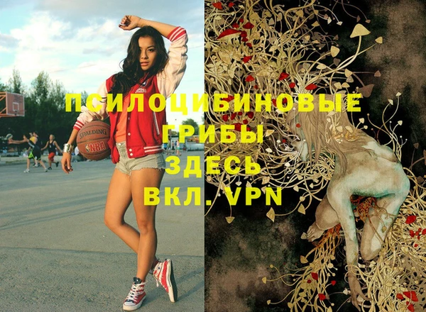 мяу мяу мука Вяземский