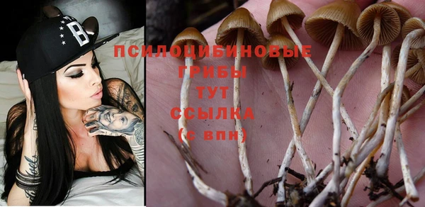 мет Вязники