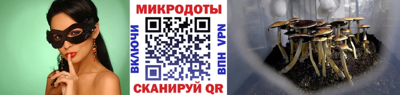 Псилоцибиновые грибы мухоморы  где найти   Мезень 